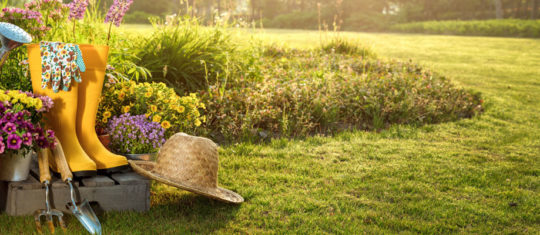 Travaux de jardinage