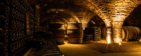 Aménagement d'une cave